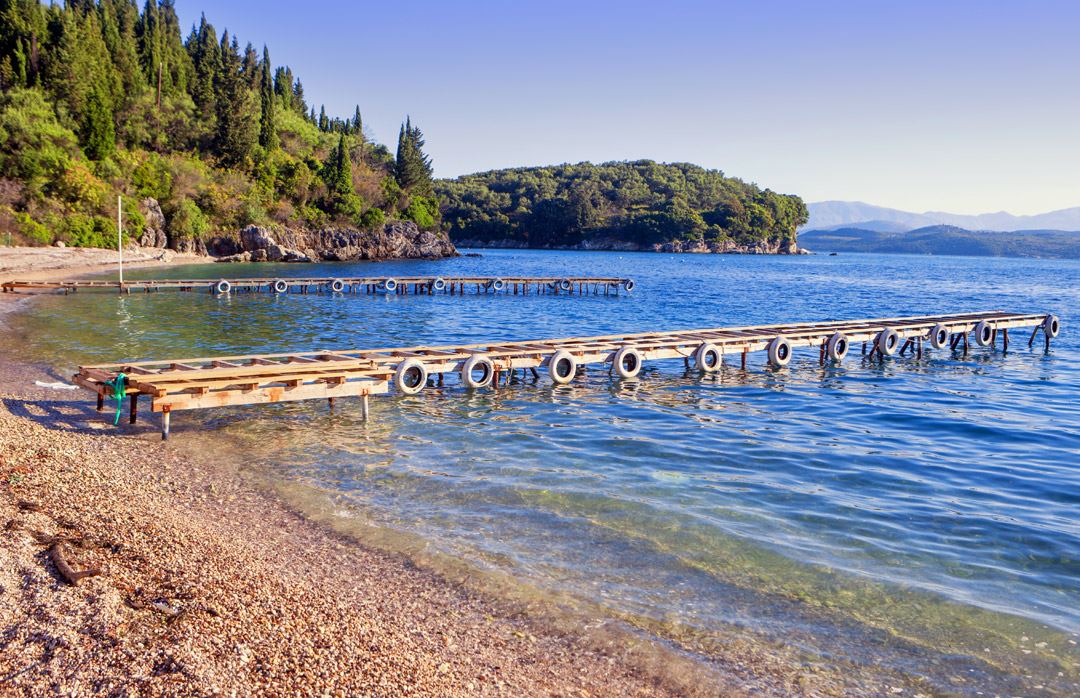 Agni Beach Cottage